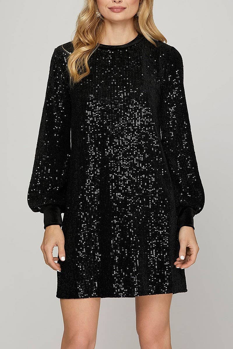 Sequin Round Neck Velvet Contrast Mini Dress