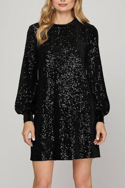 Sequin Round Neck Velvet Contrast Mini Dress